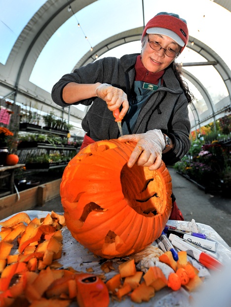 Bainbridge Gardens employee Janice Toriumi works on a design Wednesday in preparation for the Pumpkin Walk that takes place Oct 16-17 at Bainbridge Gardens. The popular family event is free to the public