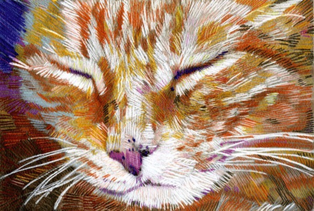 Susan Wiersema cat portrait. Colored pencil on paper.