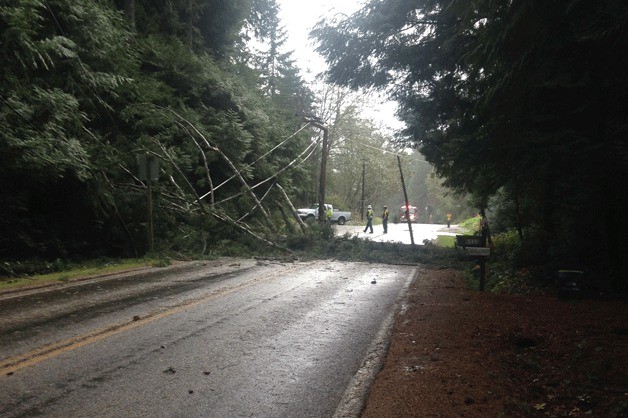 A fallen tree and power lines are down on Fletcher Bay Road NE and Buckling Hill Road.