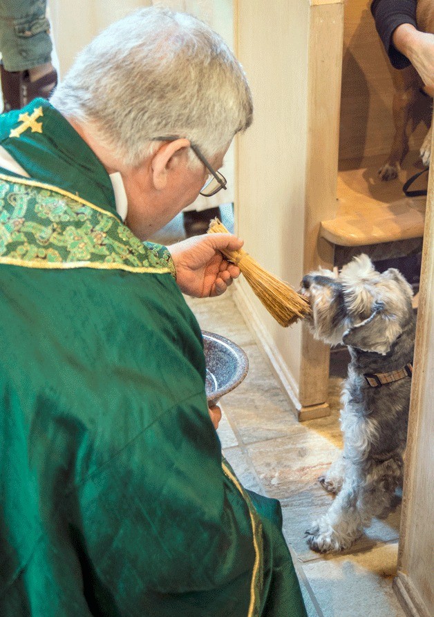 Reverend Dennis Tierney blessing one of many pets attending the St. Francis Day service at St. Barnabas Episcopal Church on Oct. 6