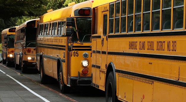 Survey notes drivers who pass stopped school buses