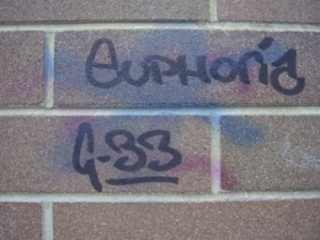 Graffiti was found on multiple buildings in the area of Bainbridge High School.