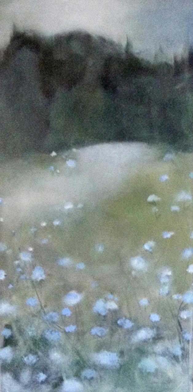 'Morning Meadow' by Jenn Till.