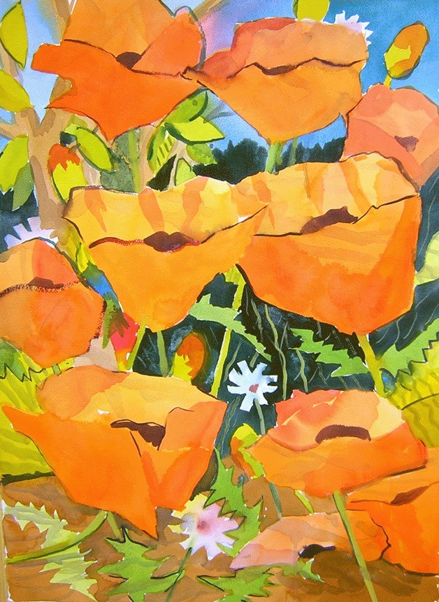 'Backyard Poppies' by watercolor artist John Adams.