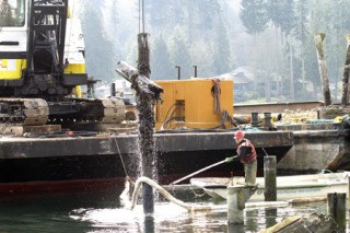 A Lakeshore Marine Construction worker guides a piling out of the water off Strawberry Plant Park Saturday.