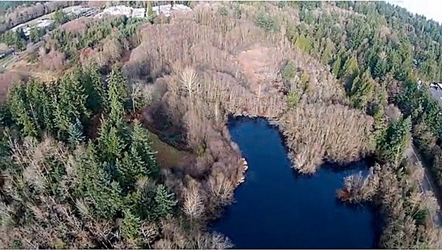 An aerial view of the Sakai property shows the 2.2-acre lake and surrounding grounds.