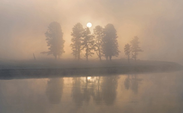 'Misty Morning' by Don Roake.