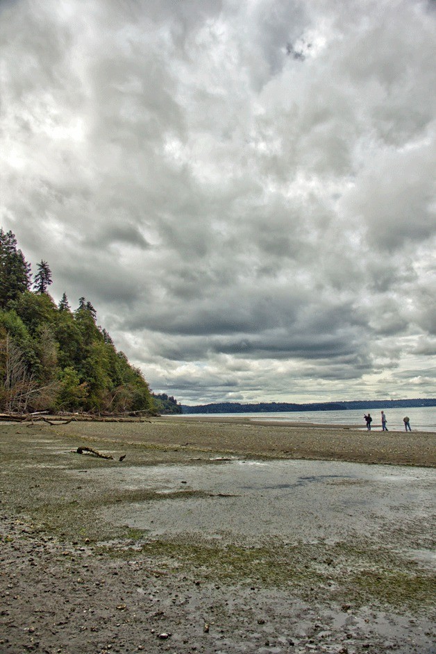 The Bainbridge Island Land Trust has announced that it has received two grants that will help complete the purchase of 12.5 acres of intact shoreline and upland along Agate Passage.