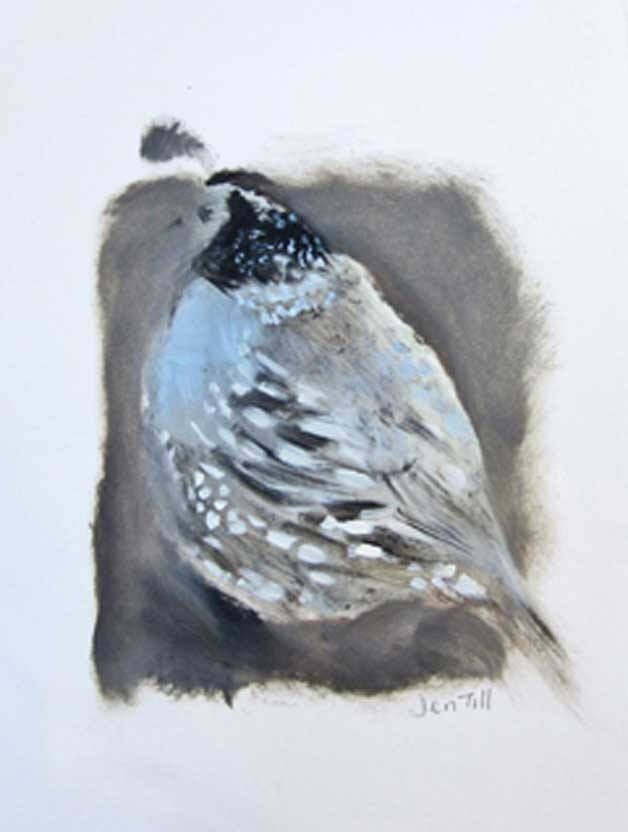 'Small quail' by Jen Till.