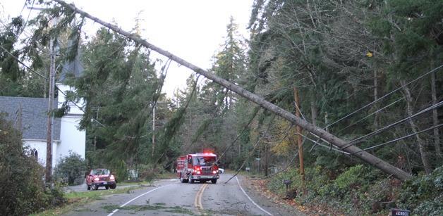A crew from the Bainbridge Island Fire Department closes a stretch of North Madison Avenue after a tree toppled over the roadway late Tuesday afternoon.