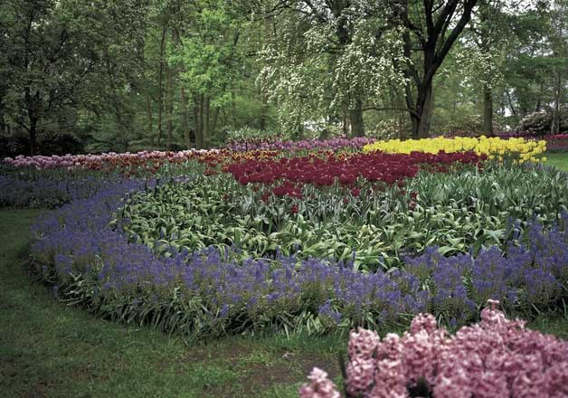 Flowers can be planted to show a mix of color.