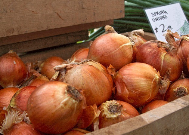 Onions at the Bainbridge Island Farmers Market.