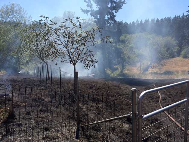 A massive grass fire on Fletcher Bay Road last Friday was caused by a spark from a lawnmower.
