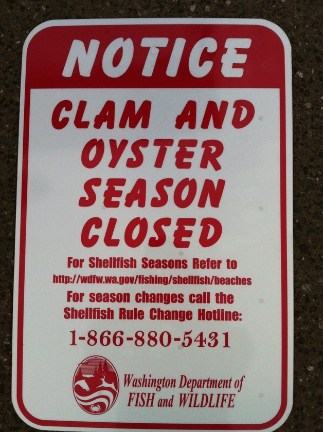 Signs have been posted at Fay Bainbridge Park to alert visitors of restrictions on shellfish harvesting.