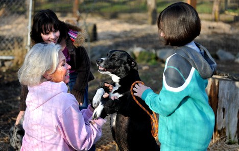 Farm owner Teri Cole plays with one of her canine friends along with Micaela Hogger and Anisa Ashabi. The girls are planning a carnival fundraiser to benefit the dogs and the Ferry Dog Mothers. Cole and her fellow dog mothers helped unite more than 100 dogs with families in 2009.