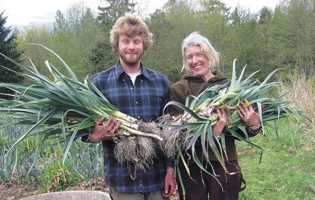 Farmers Jared Trilling and Rebecca Slattery harvest leeks for Persephone Farm.