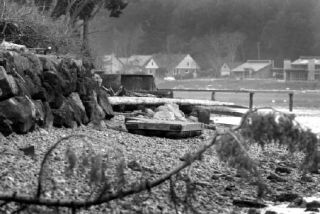 More than half of Bainbridge’s roughly 50 miles of shoreline are armored with artificial bulkheads.