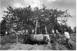 A cherry tree is replanted at Sakai Intermediate School in May of 2007. Several cherry trees were moved from Bainbridge High School to make way for construction of the new 200 building.