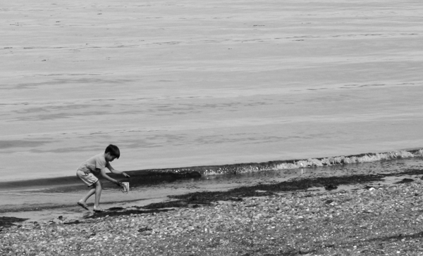 A little boy scours the shores of Fay Bainbridge park.