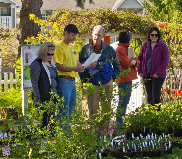 Shoppers peruse the selections at an earlier native plant sale.