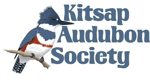 Learn about birding in Kitsap at next ‘What Do You Know’