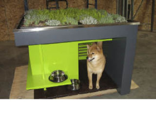 The “Green-Woof” doghouse