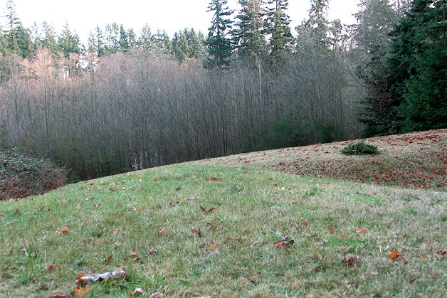 A meadow on the Sakai property. The Bainbridge parks district is asking voters to approve a ballot measure to purchase the approximately 23-acre property.