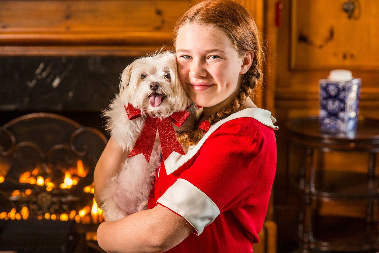 Keith Brofsky photo                                Audrey Trabucco will share the spotlight in the Ovation! Performing Arts Northwest production of “Annie,” opening Friday, Dec. 2, as the titular plucky orphan, accompanied in her adventures by her dog Buster.