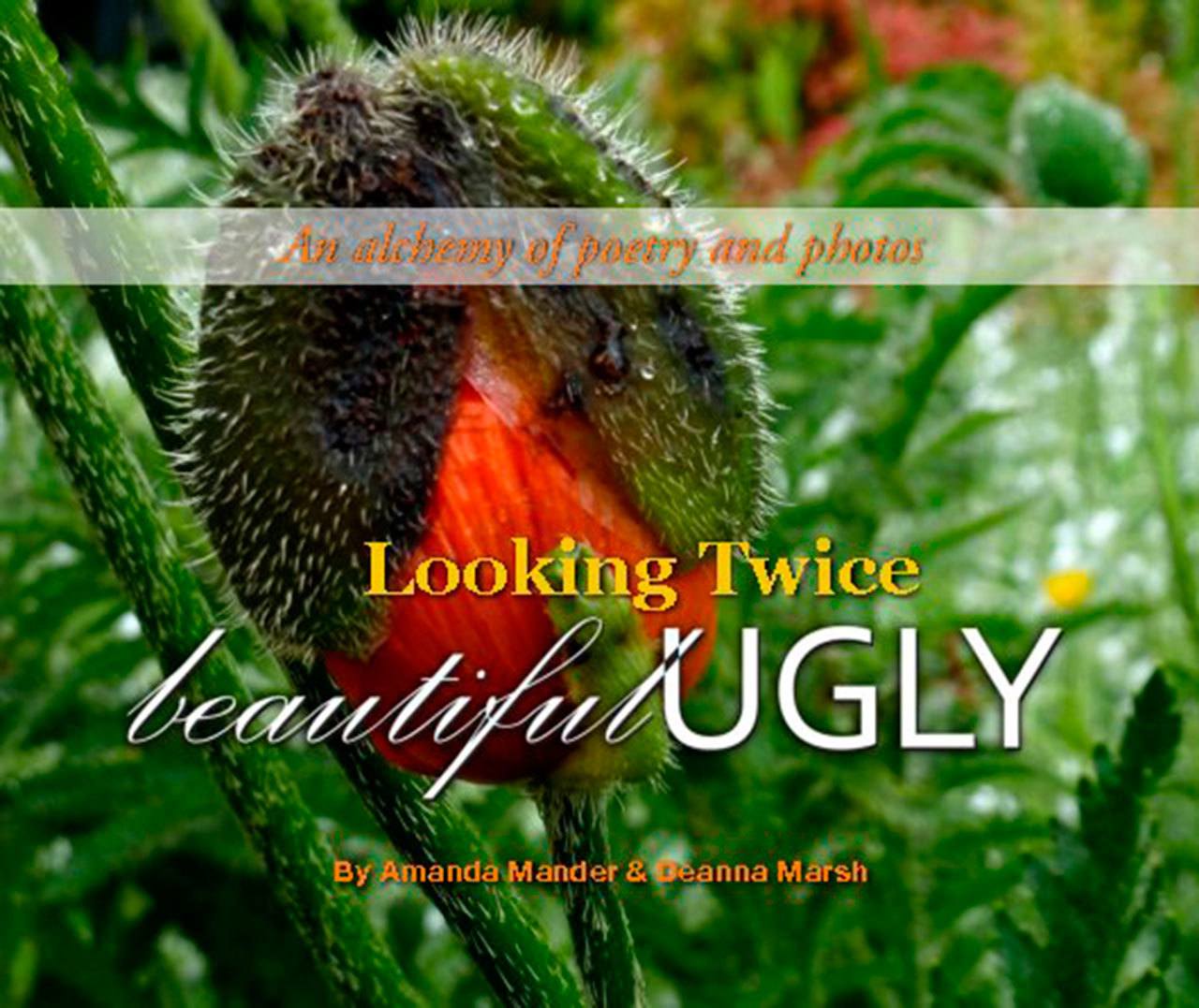 Image courtesy of Eagle Harbor Book Company                                Amanda Mander and Deanna Marsh will stop by Eagle Harbor Book Company at 1 p.m. Sunday, Nov. 6, to discuss their book “Looking Twice: Beautiful Ugly.”
