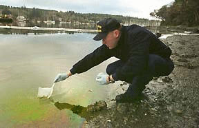 Coast Guard BM2 Clint Cavender uses a sheen net to gather a sample.