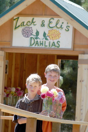 Eli (left) and Zack Brewer at their self-service flower stand.