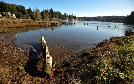 Strawberry Plant Park in Eagle Harbor looking east.