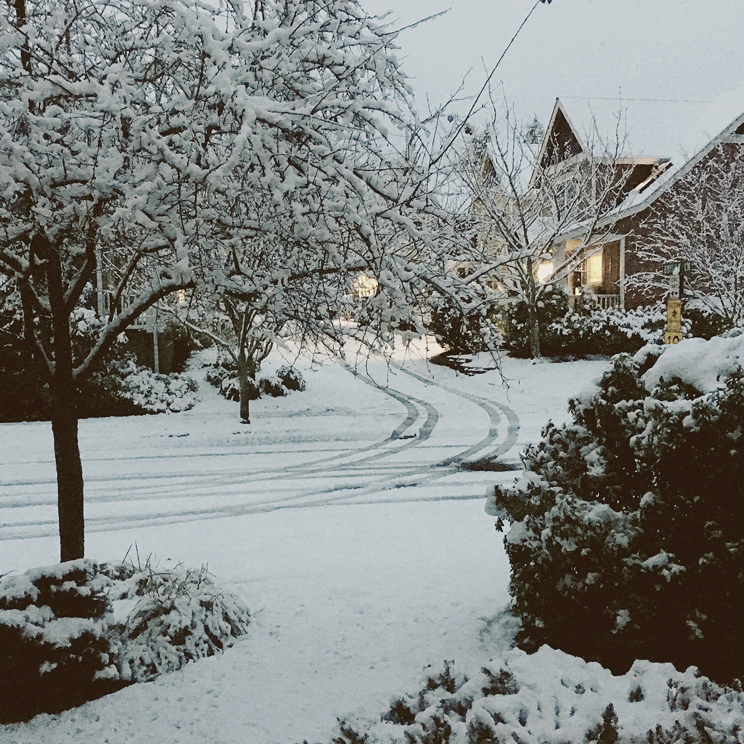 Snowstorm hits region; Bainbridge schools closed Friday