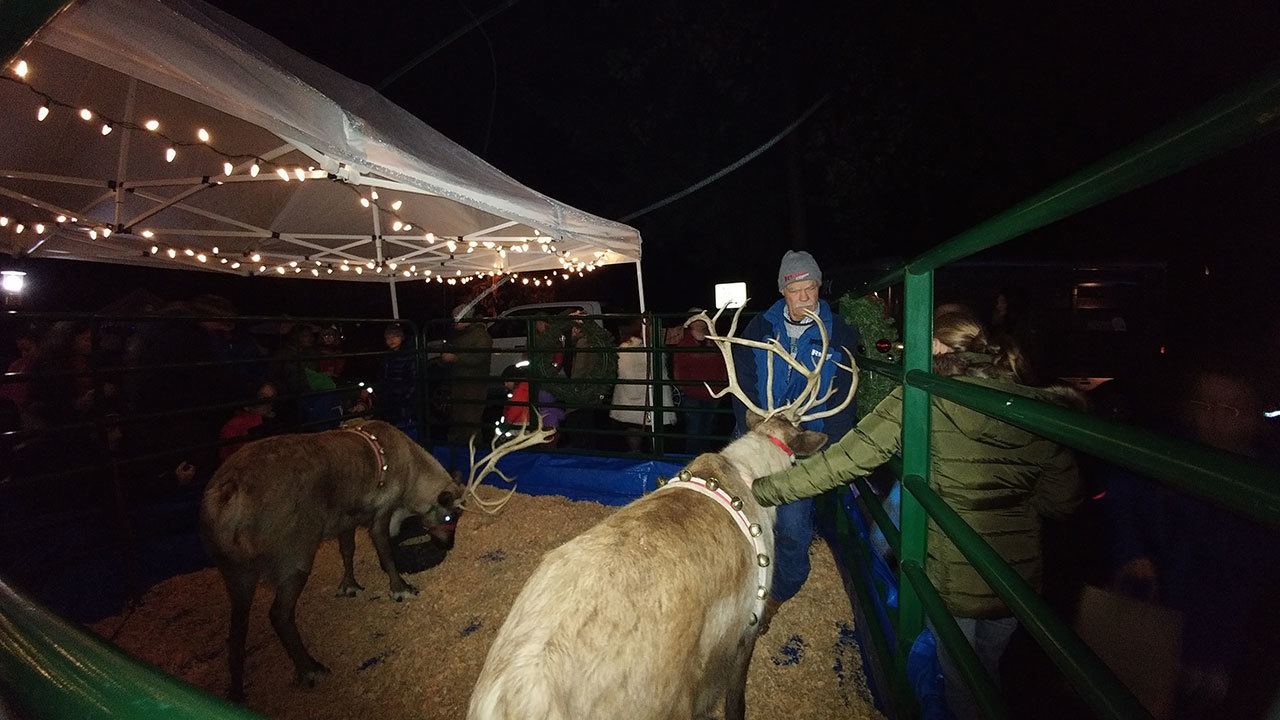 Photo by Liane Nakahara                                Revelers meet reindeer at the inaugural Winter Wonderland at Waterfront Park Saturday.