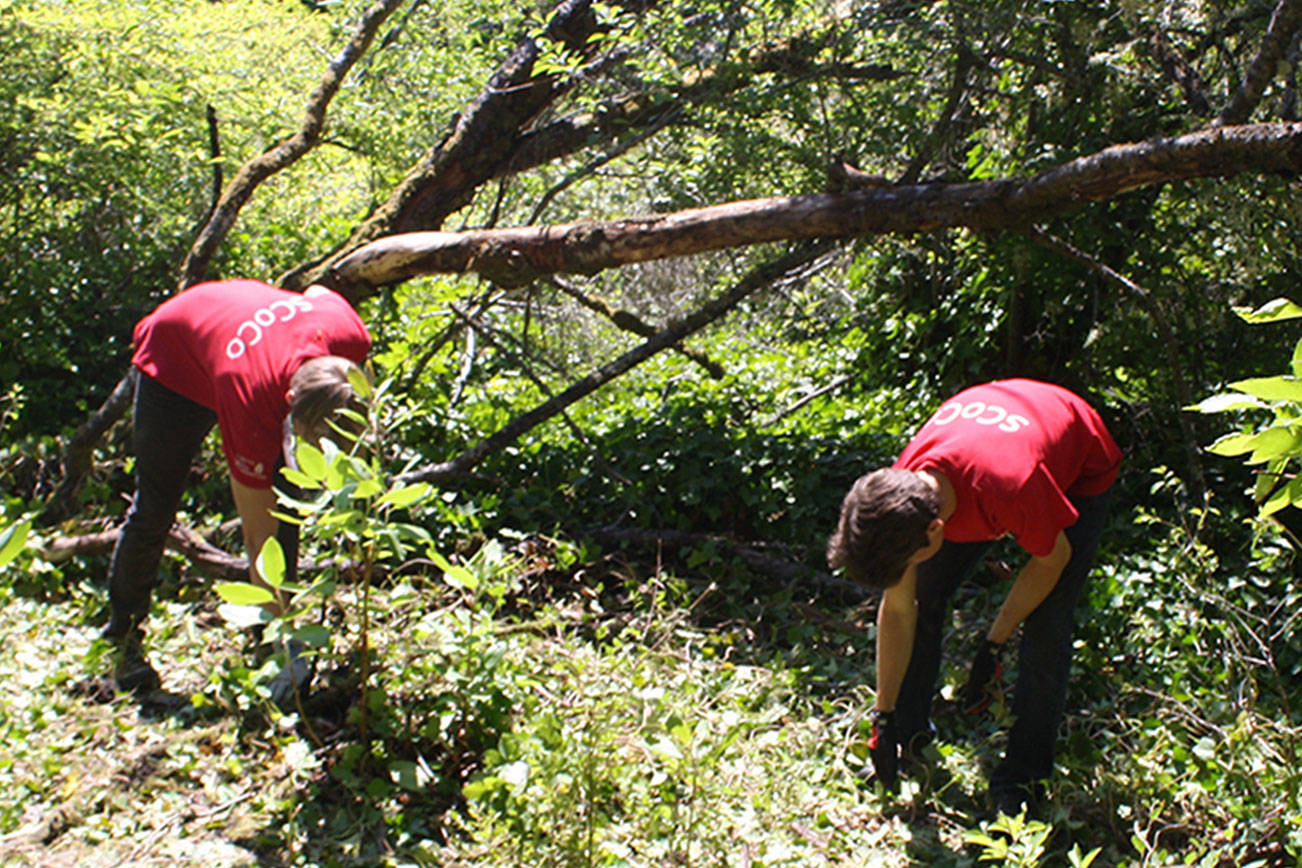 Student Conservation Corps benefits Island parks