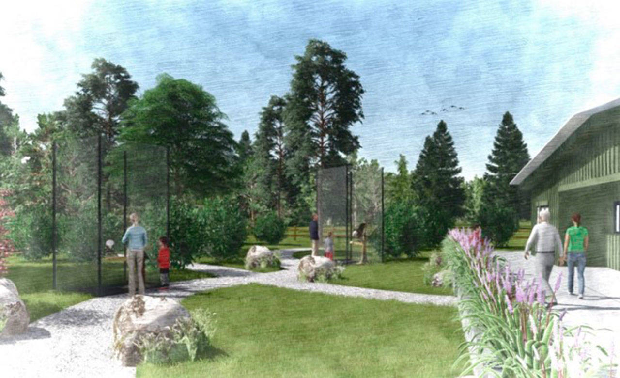 Image courtesy of Lisa Horn | An artist’s rendering of the slated second campus of the West Sound Wildlife Shelter, to be constructed in Port Gamble.                                 Image courtesy of Lisa Horn | An artist’s rendering of the slated second campus of the West Sound Wildlife Shelter, to be constructed in Port Gamble.                                 Image courtesy of Lisa Horn | An artist’s rendering of the slated second campus of the West Sound Wildlife Shelter, to be constructed in Port Gamble.                                 Image courtesy of Lisa Horn | An artist’s rendering of the slated second campus of the West Sound Wildlife Shelter, to be constructed in Port Gamble.