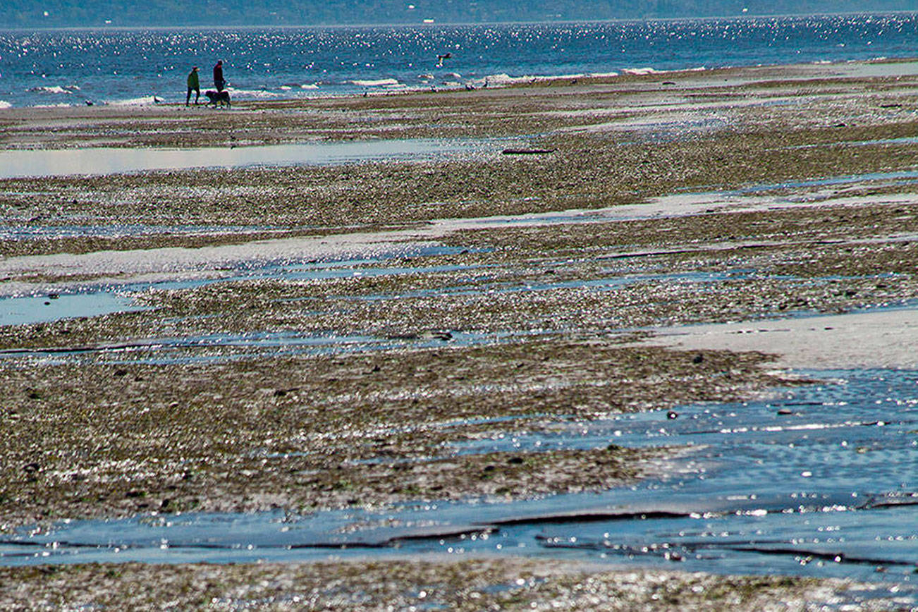 Shellfish advisory: closure expanded