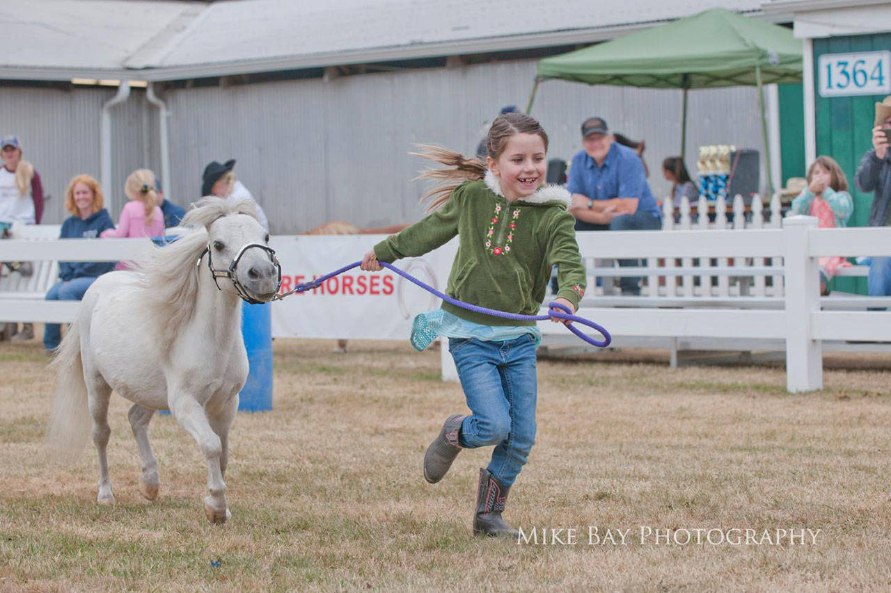 A young girl shows a miniature horse at last year’s fair. (Mike Bay photo)