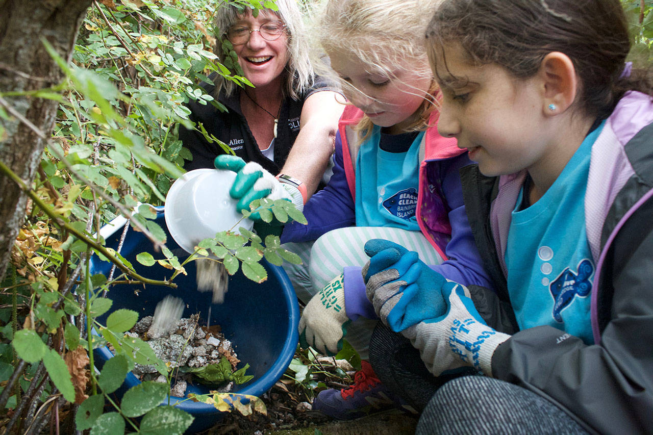 Tami Allen, Elle Perkins and Hannah Rudnick clean up styrofoam nurdles after crawling into dense undergrowth at Hawley Cove Park. (Nick Twietmeyer | The Bainbridge Island Review)