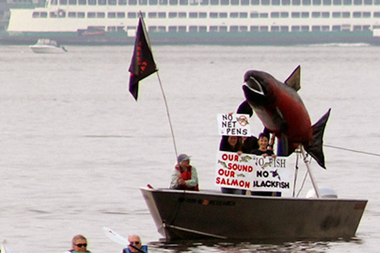 Flotilla protests Rich Passage fish pens