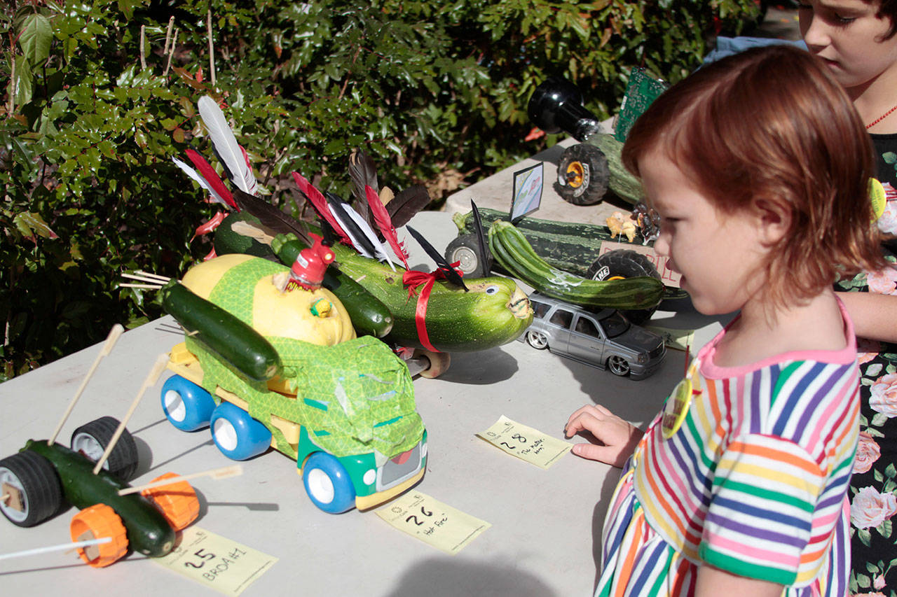Off to the races: Farmers market hosts annual speedy zucchini contest | Photo Gallery