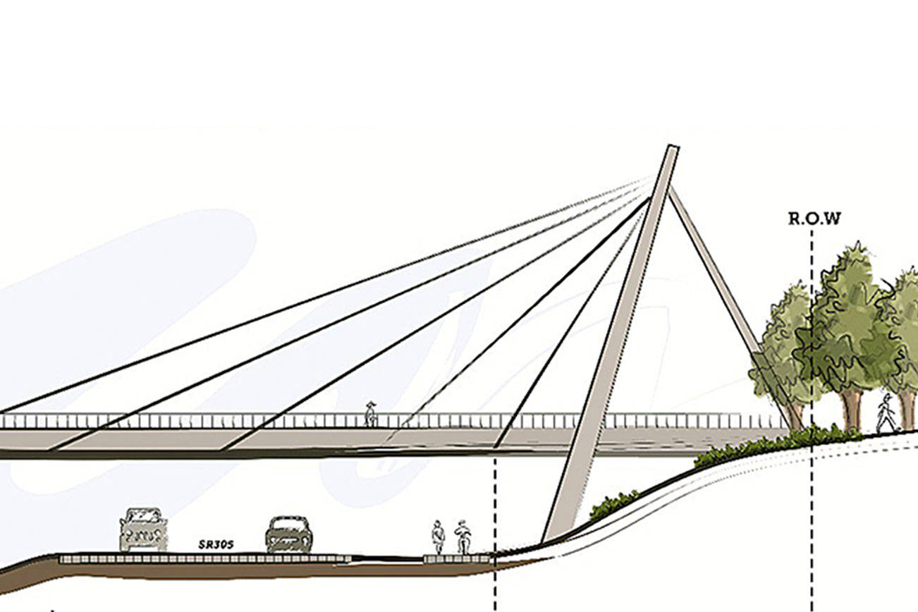 City presents potential design ideas for 305 bridge