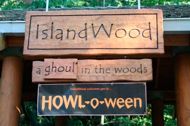 HOWL-o-ween at IslandWood