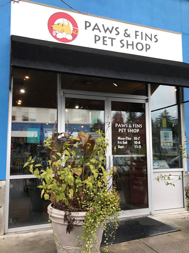 Paws & Fins celebrates 20 years by moving to a larger location