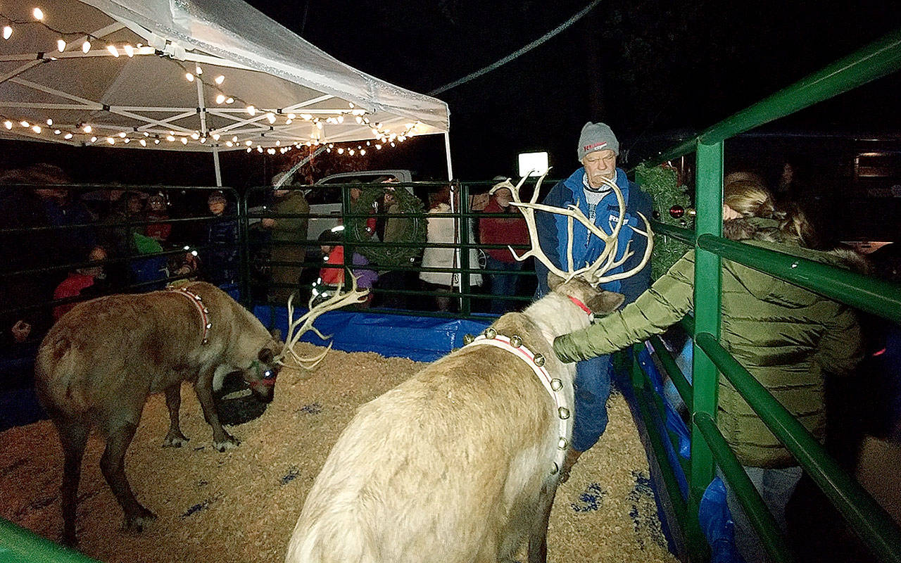 Visitors to last year’s Winter Wonderland check out the reindeer in Waterfront Park. (Luciano Marano | Bainbridge Island Review)
