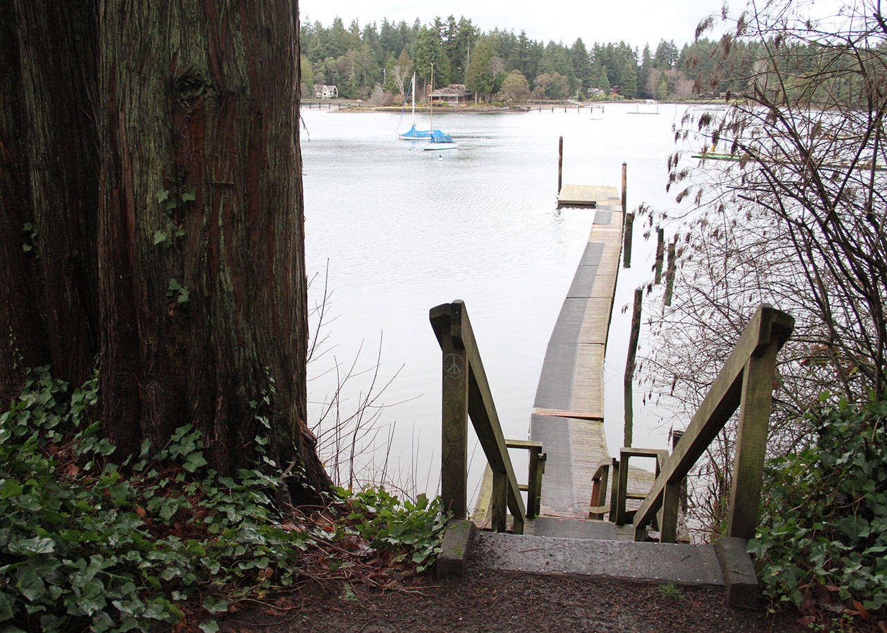 The old dock at Hidden Cove Park will be replaced with a new one this spring. (Brian Kelly | Bainbridge Island Review)