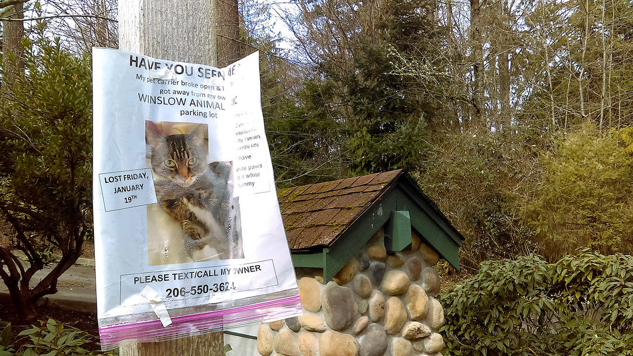 MIA: Missing In Adorableness | Photo of the day 2.24