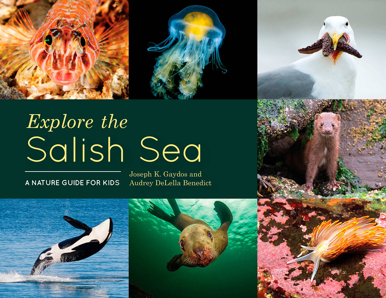 Image courtesy of Eagle Harbor Book Company | Families are invited to share in Earth Day observations at Eagle Harbor Book Company with a photo-filled new offering from Joseph Gaydos and Audrey Benedict, “Explore the Salish Sea: A Nature Guide for Kids,” at the store at 5 p.m. Friday, April 20.