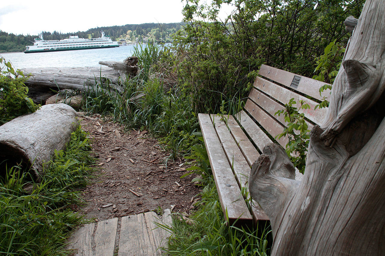 Luciano Marano | Bainbridge Island Review - The bench at the beachfront end of the Hawley Cove Park trail, as the ferry comes in.