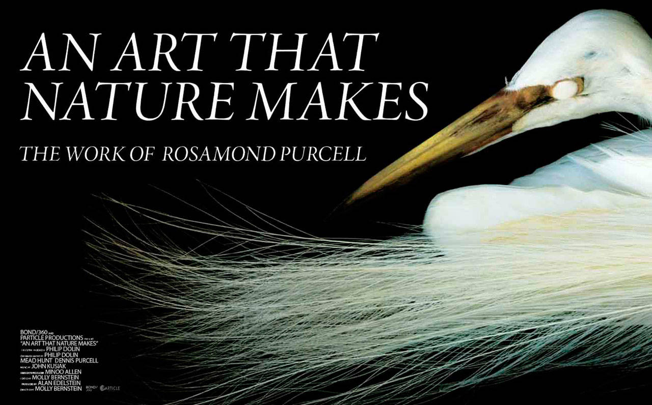 Image courtesy of Kino Lorber | “An Art That Nature Makes,” a documentary portrait of artist Rosamund Purcell, is the first slated screening in the Bainbridge Island Museum of Art’s latest smARTfilms series.
